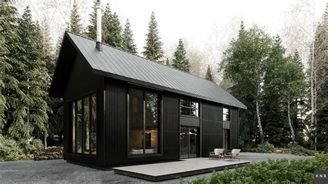 metal siding for cabin